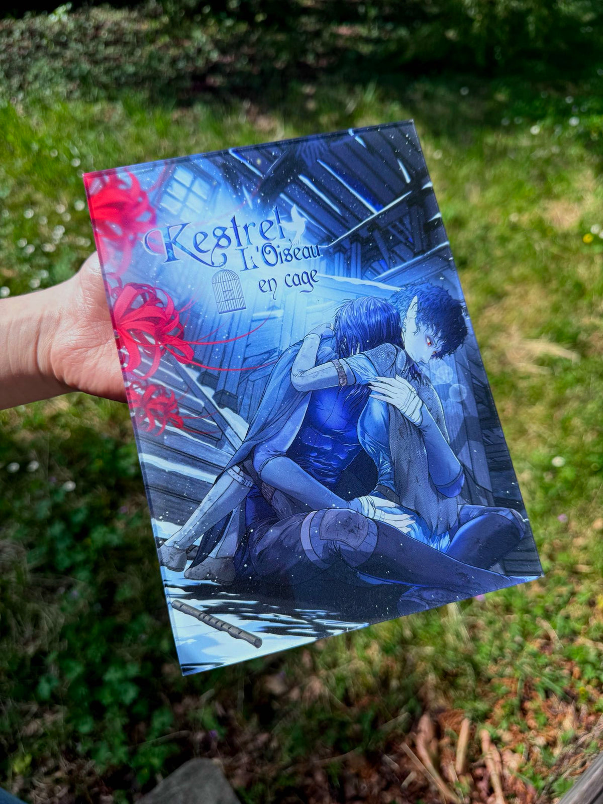 [Cha Wolf - Kestrel] Illustration A5 sur plexiglass