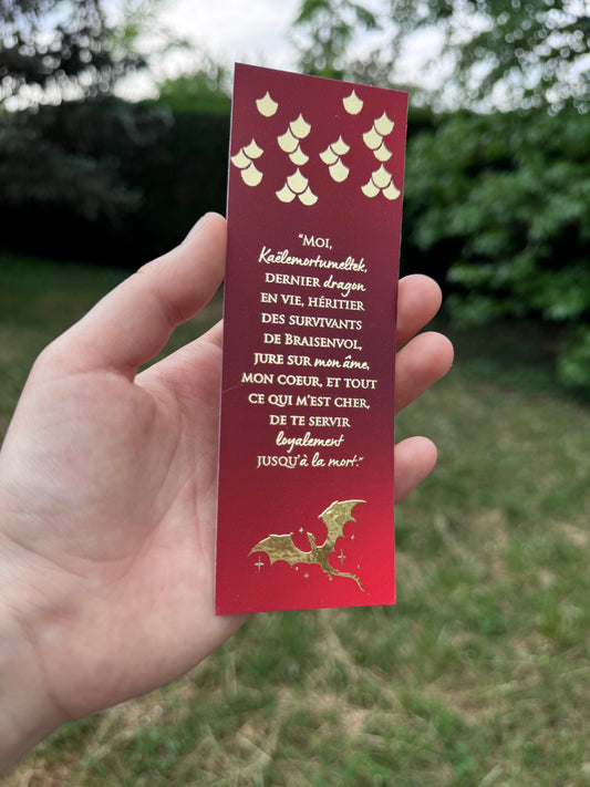 [La Guerre des Ombres] MP - "Moi, Kaël…" / Éditions Bookmark x Mikae