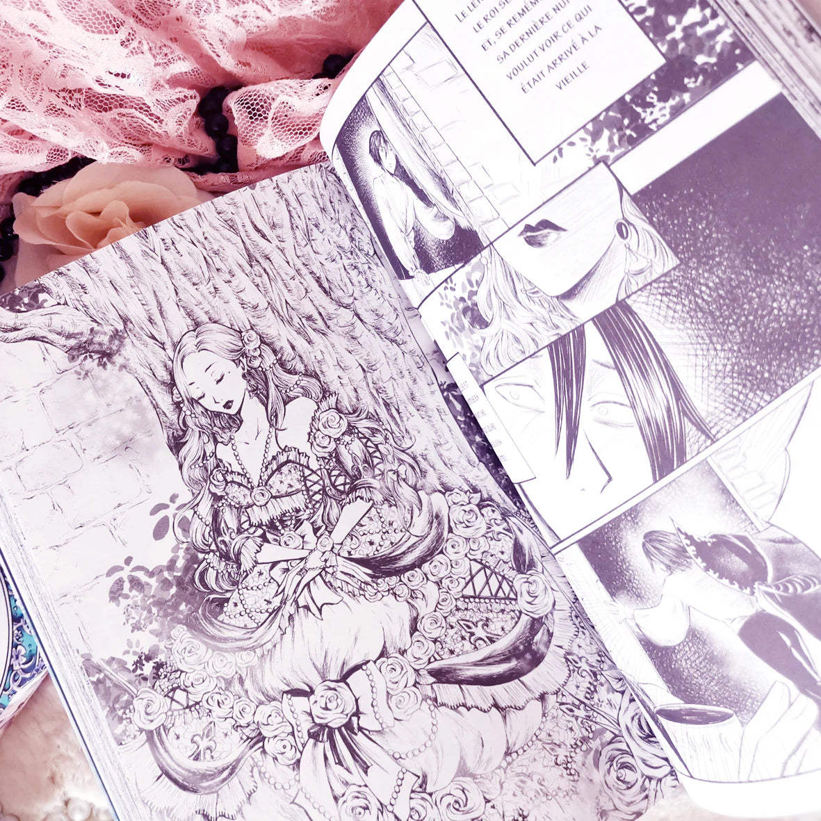 [Sabrina] Illustrated Fairytales - Contes d'Andersen